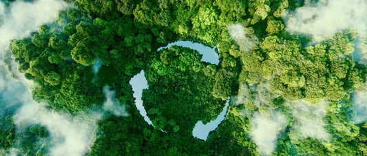 TPO Coated Fabric: A Sustainable Choice for Green Construction