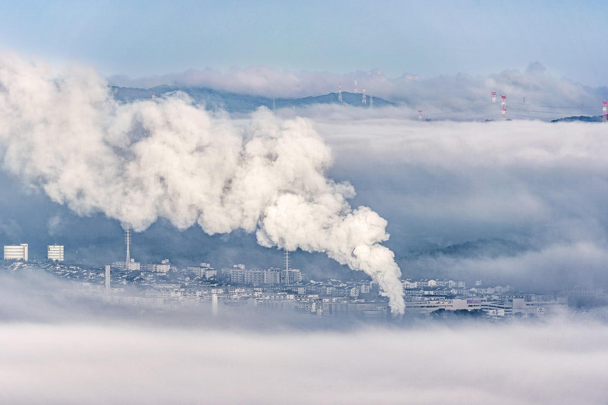 What Is Low-Carbon Coated Fabric? A 2026 Guide for European Buyers